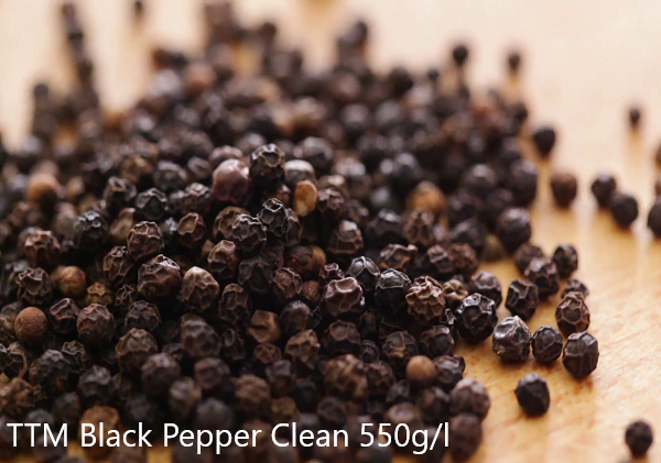 BLACK PEPPER 550G/L CLEAN